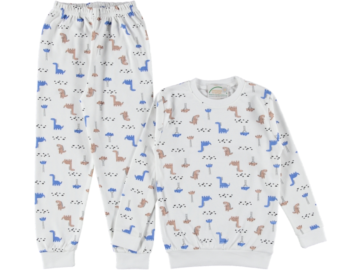 4'lı Erkek Çocuk Dino Baskılı Pijama Takım 446126