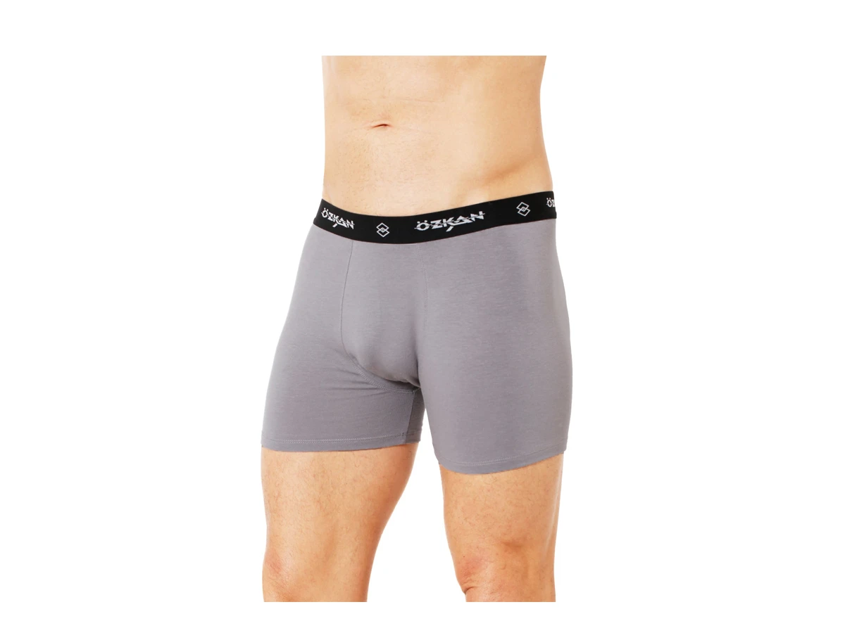 1'lı Gri Erkek Modal Boxer 183220
