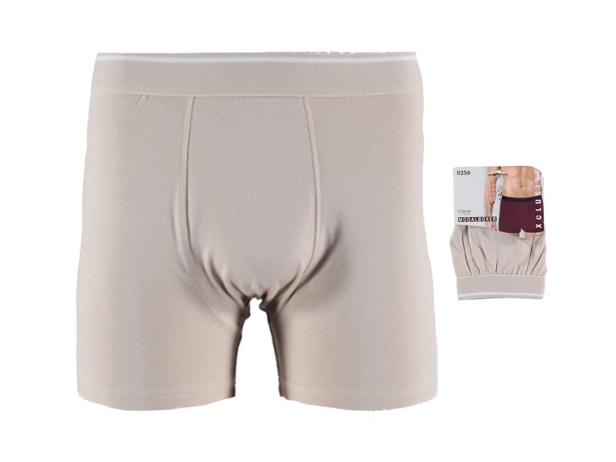 1'lı Taş Erkek Modal Boxer 175936