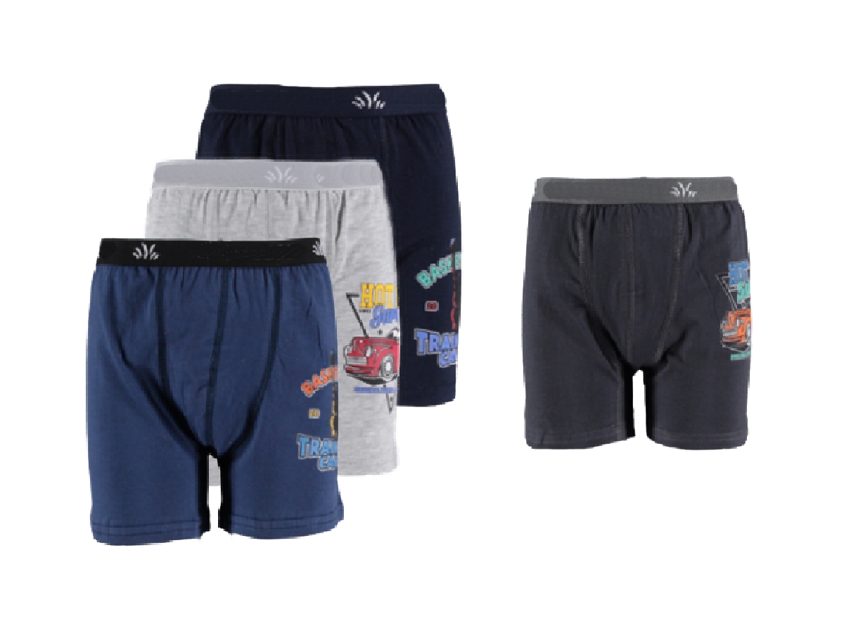 12'lı Baskılı Erkek Boxer 124706