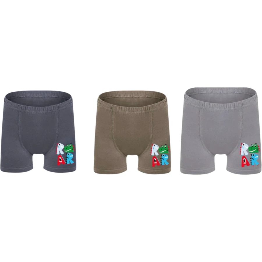 12'lı Erkek Çocuk Baskılı Boxer 461012