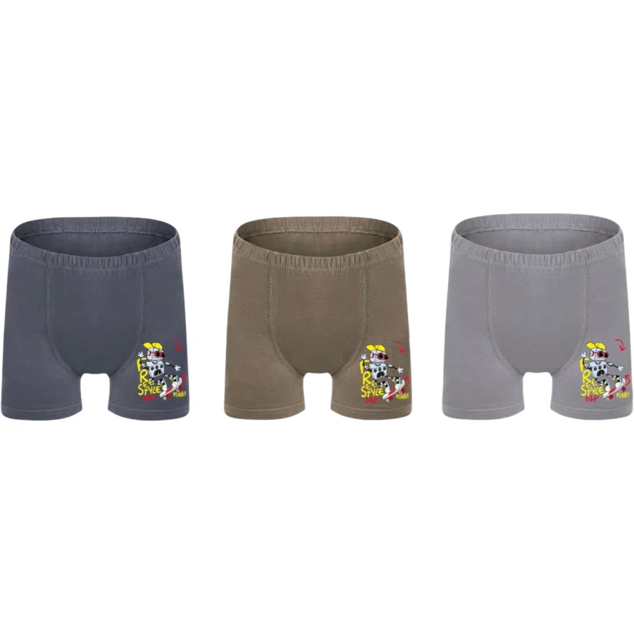 12'lı Erkek Çocuk Baskılı Boxer 461015